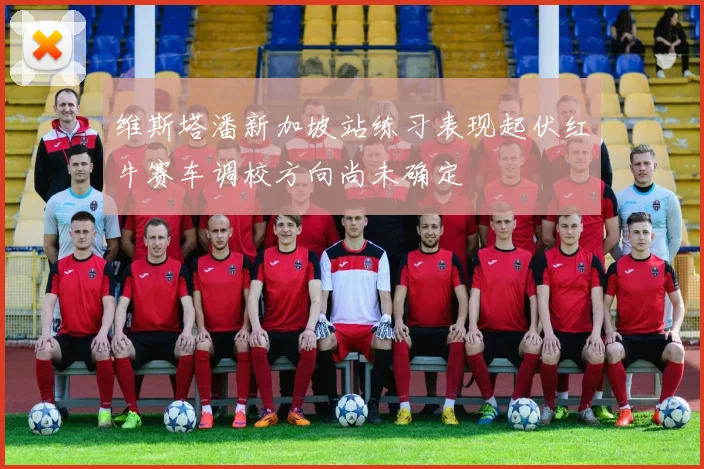 维斯塔潘新加坡站练习表现起伏红牛赛车调校方向尚未确定